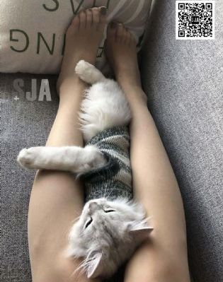 a级亚洲高清无码_BD高清完整电影