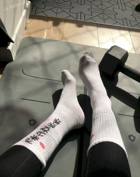 成人无码区免费aⅴ片在线观看_高清手机在线观看