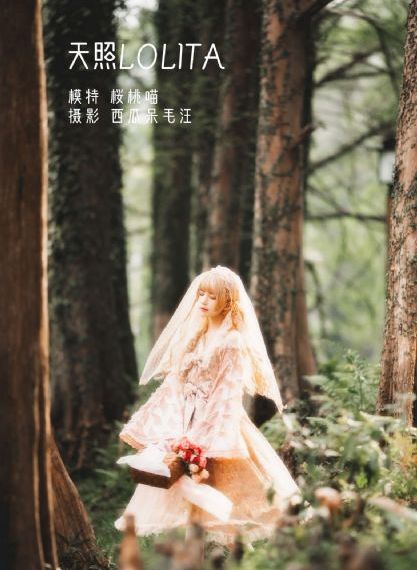 亚洲精品成人无码久久_1080高清完整版播放