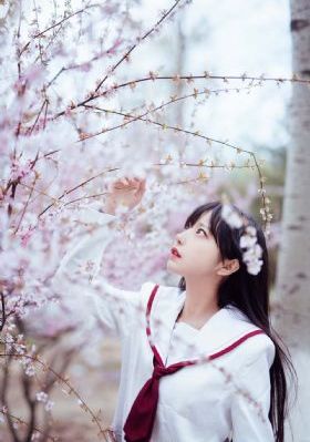 夜月直播在线高清免费观看_日韩成人在线